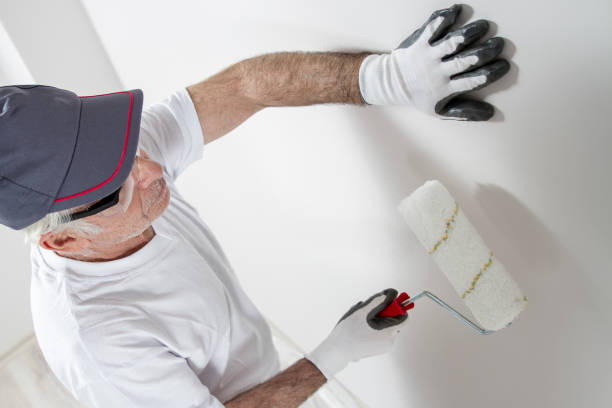 Best Attic Mold Removal  in Kenmore, WA
