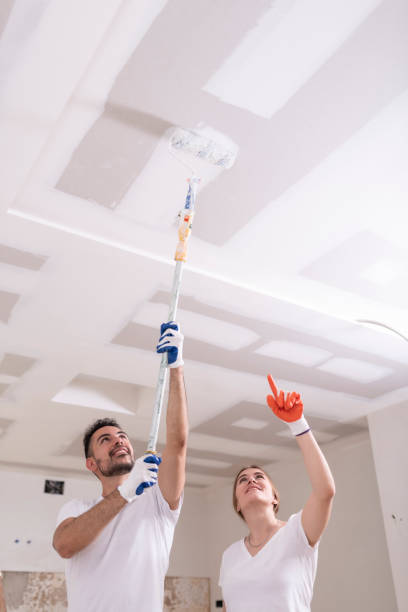 Best Mold Odor Removal Services  in Kenmore, WA
