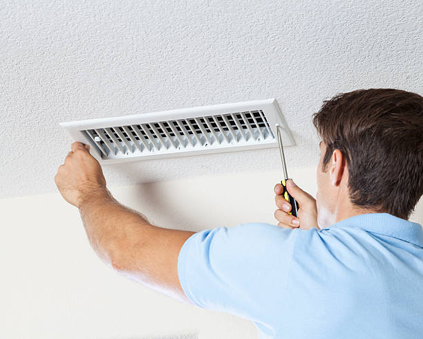 Best Environmental Consulting for Mold Prevention  in Kenmore, WA